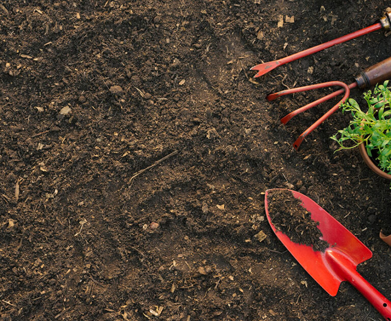 blog_featured_1 blog_featured_1